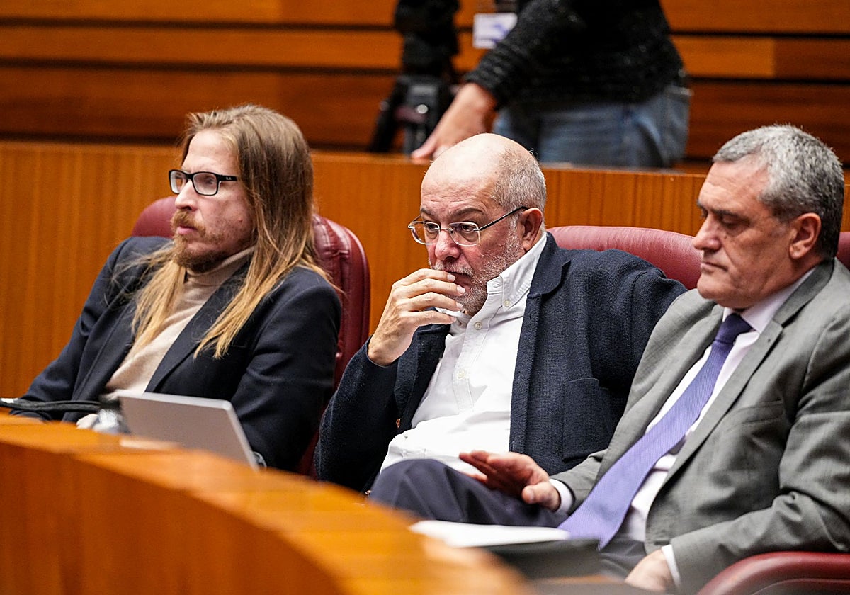 Los integrantes del Grupo Mixto Pablo Fernández, Francisco Igea y Pedro Pascual