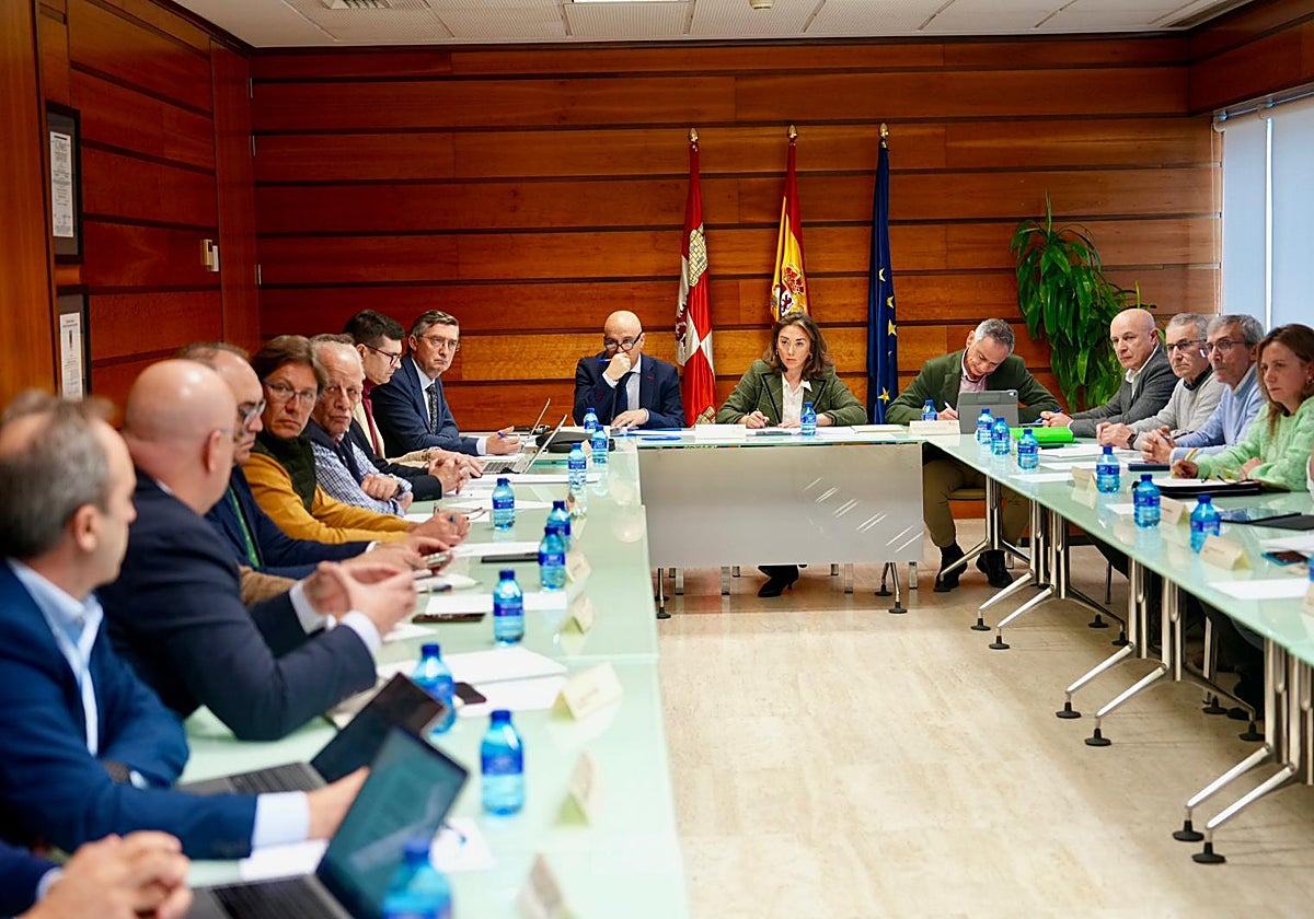 La consejera de Agricultura preside la reunión del grupo de expertos sobre la Peste Porcina African