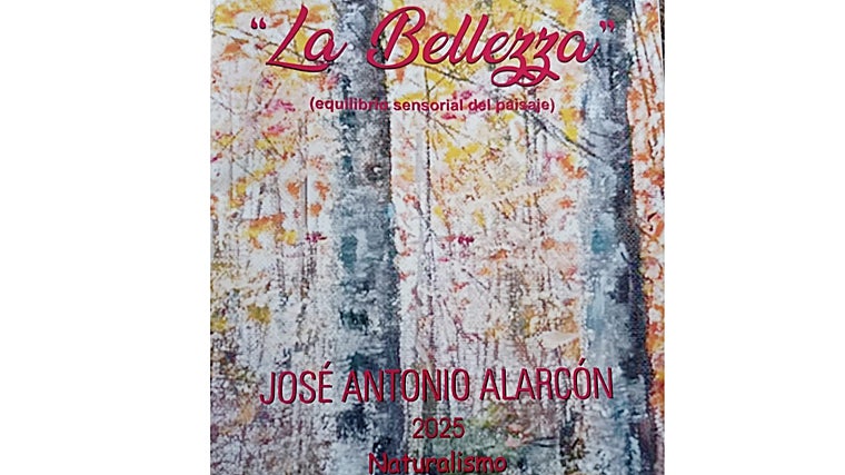 &#039;La Bellezza&#039;: de la mirada al cuadro