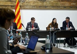 La Generalitat declara la «emergencia» para poder contratar por la vía de urgencia contra la peste porcina