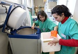 Estos son los servicios mínimos en el Servicio Andaluz de Salud por la huelga de médicos nacional