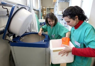 Dos sanitarias del SAS