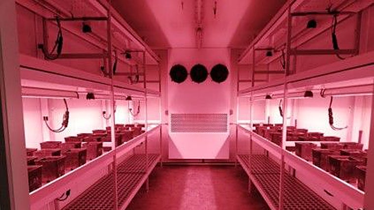 One of the center's laboratories