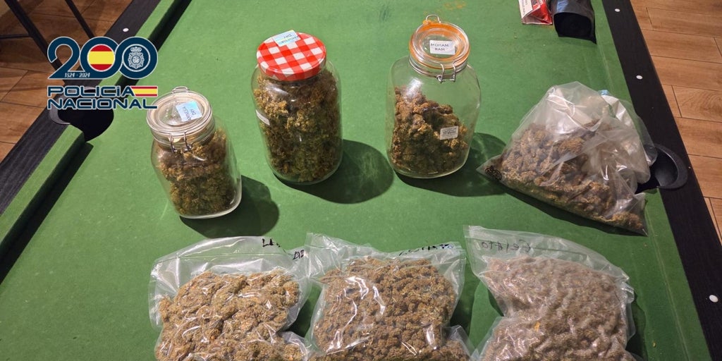 Detienen al presidente y al tesorero de una asociación cannábica de Denia: «Vendían marihuana de forma indiscriminada»