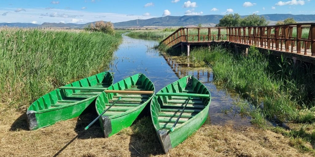 Castilla-La Mancha concede 25 ayudas para impulsar el desarrollo en el entorno de los parques de Cabañeros y Las Tablas