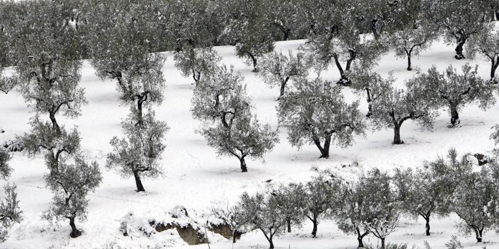 Mínimas de -7 grados en Valencia: estas son las localidades donde hace más frío este 6 de enero, Día de Reyes