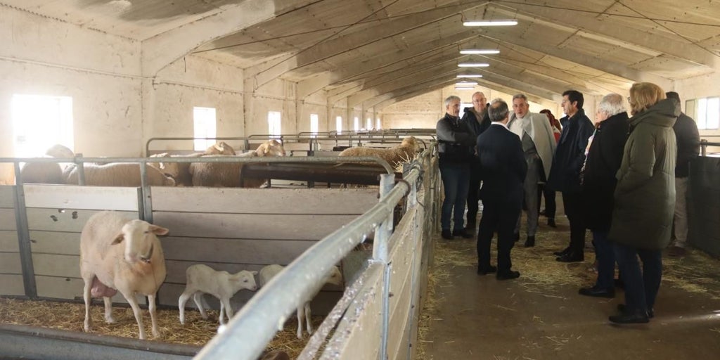 Castilla-La Mancha refuerza la sanidad animal con un aumento del 185% del presupuesto para proteger al sector ganadero en 2026