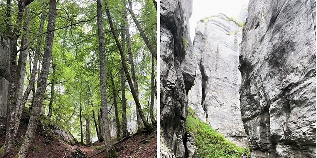 La ruta de senderismo de Cantabria de 13 km en plena montaña: dónde está y cómo llegar