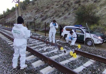 El raíl número 23117 saltó e hizo descarrilar al tren Iryo en el accidente de Adamuz, en Córdoba