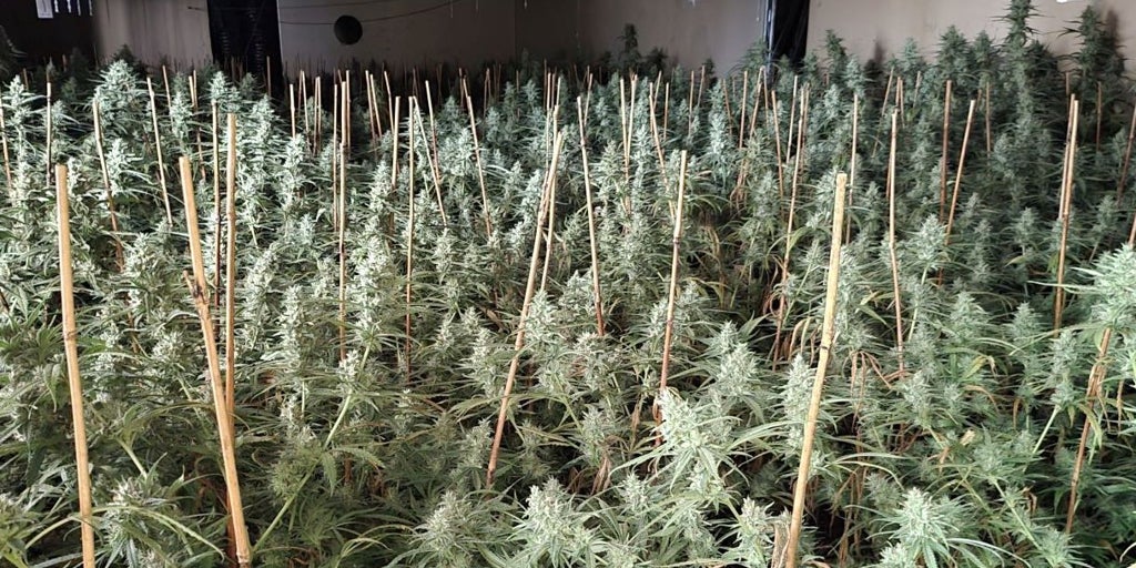 Naturgy incrementa un 21,7% la energía recuperada en Castilla-La Mancha gracias a su plan contra el fraude eléctrico