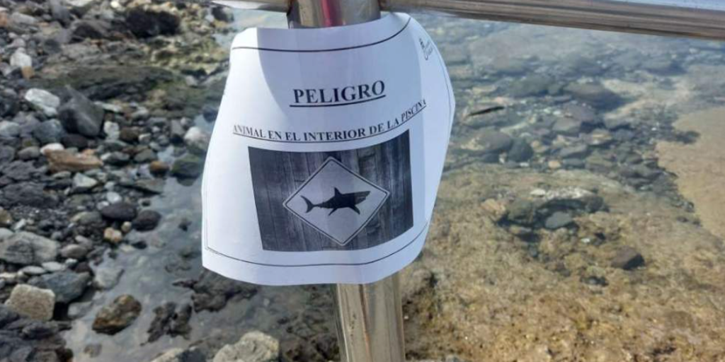 Cerrada al baño una piscina natural en Gran Canaria tras quedar atrapado un tiburón