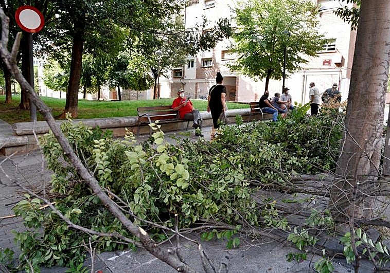 Catalonia suspends schools and services