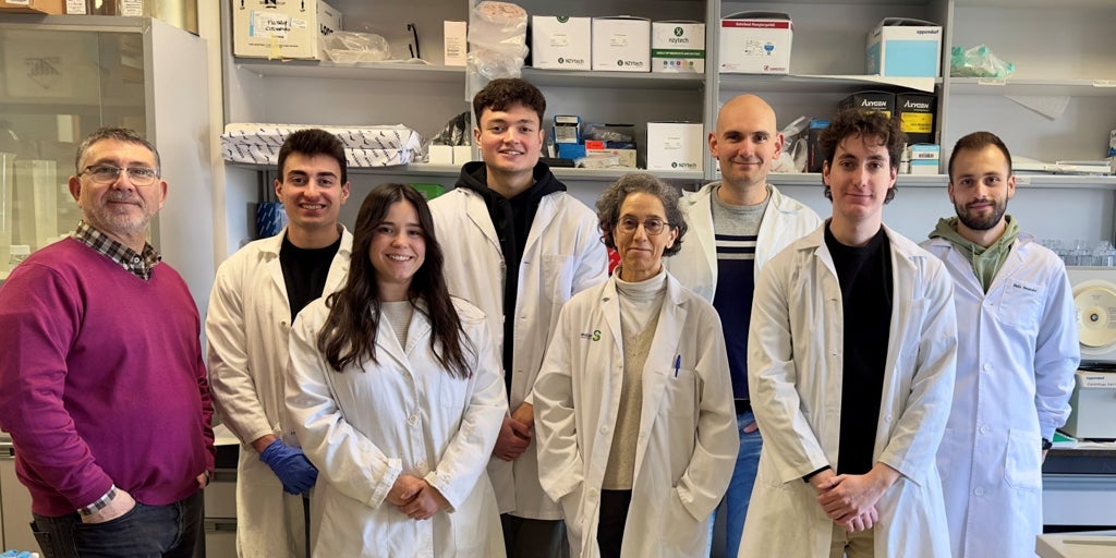 Un estudio liderado por la UCLM y el CSIC identifica dos proteínas clave en el desarrollo de los sarcomas