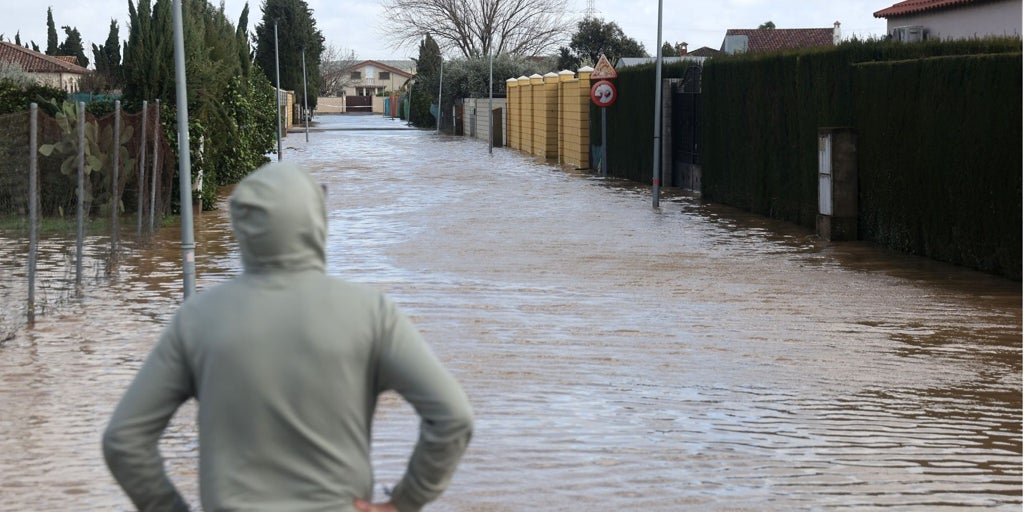 Flotadores públicos