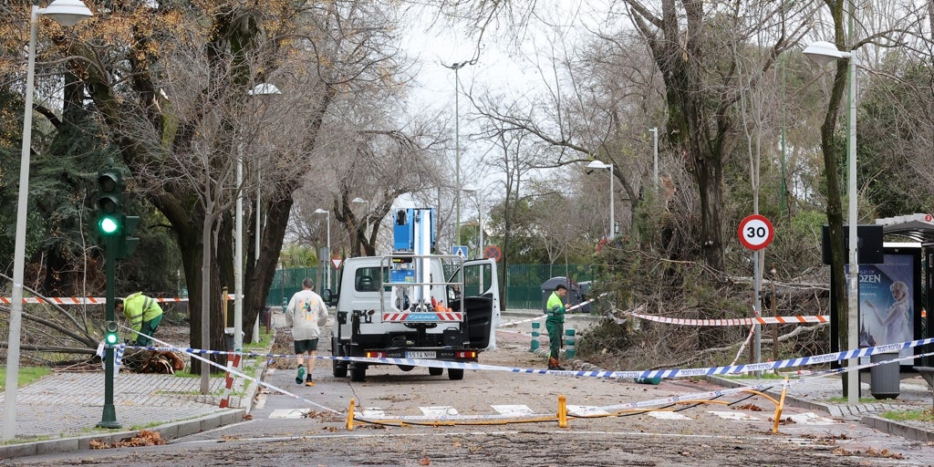 Más de mil incidencias y 200 baches en carreteras tras el paso del temporal en Córdoba