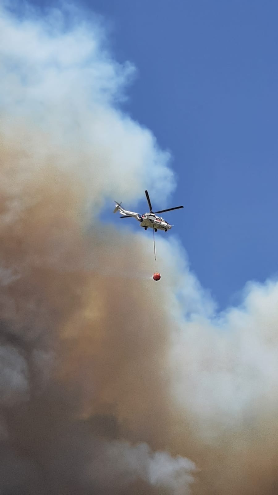 Un nuevo incendio forestal pone en jaque a Tarifa