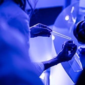 La cosmética del futuro: cremas que no contaminan, envases biodegradables y nuevos activos que mejoran la inteligencia de la piel