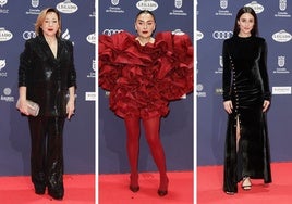 La alfombra roja de los Premios Feroz 2025