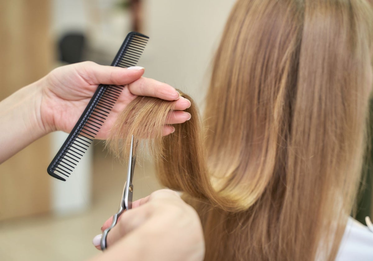 Corte de pelo en seco.