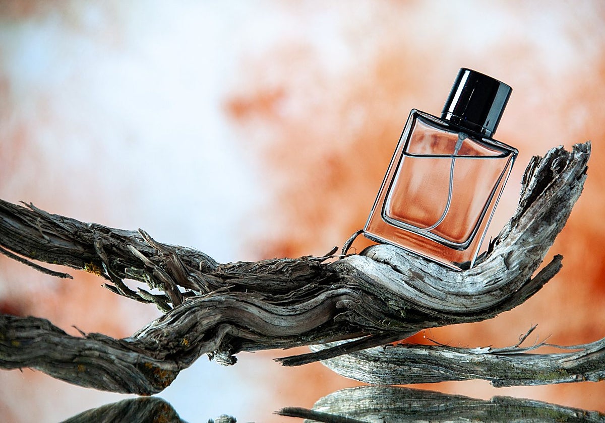 Nuevos perfumes para el otoño.