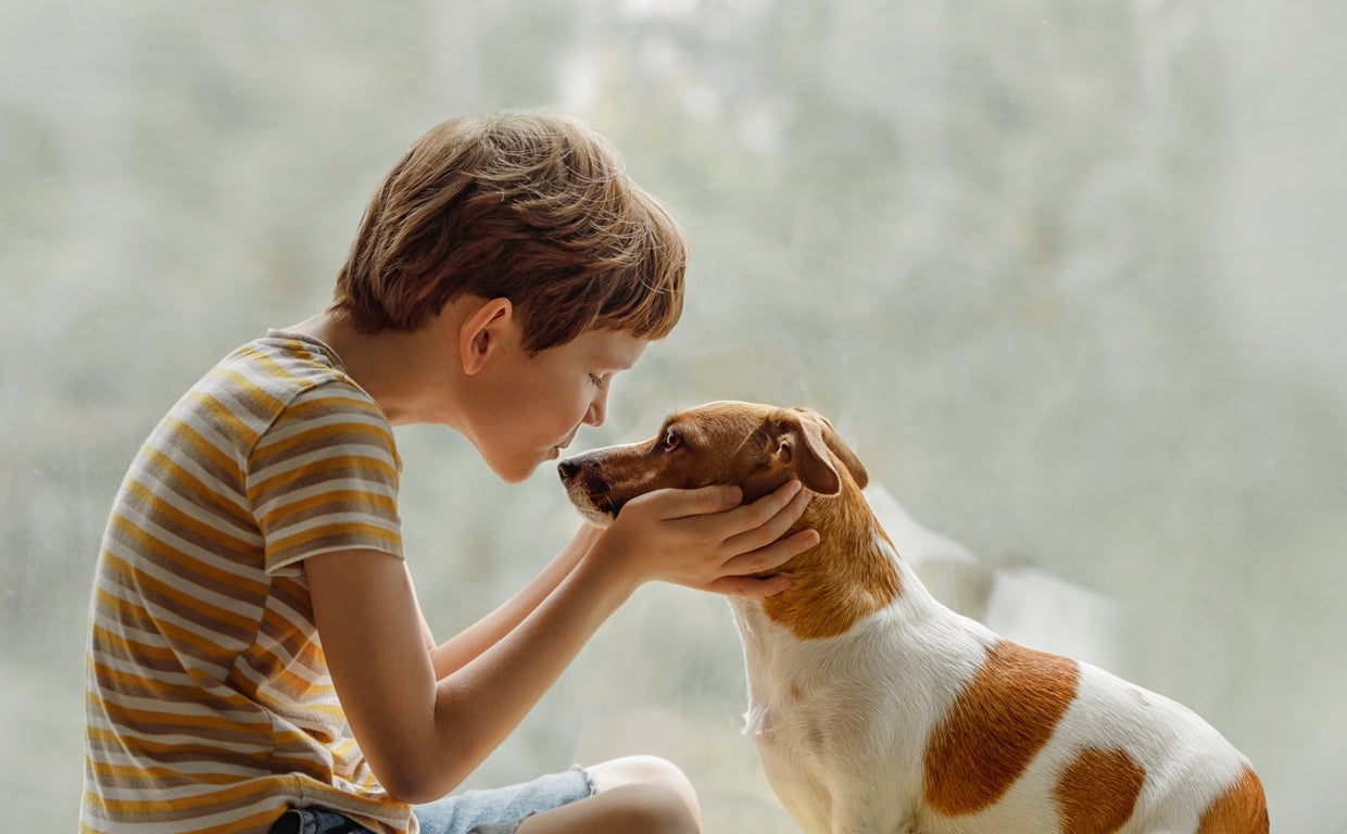 El 92% de los españoles considera que su mascota es un miembro más de la  familia