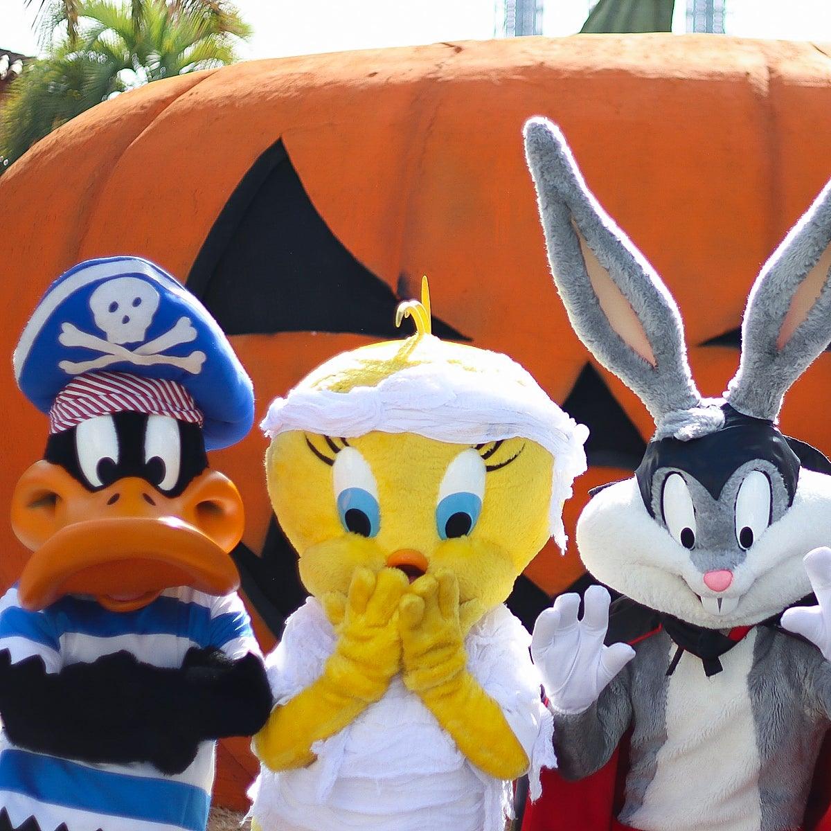 Planes para pasar un Halloween de miedo con tus hijos