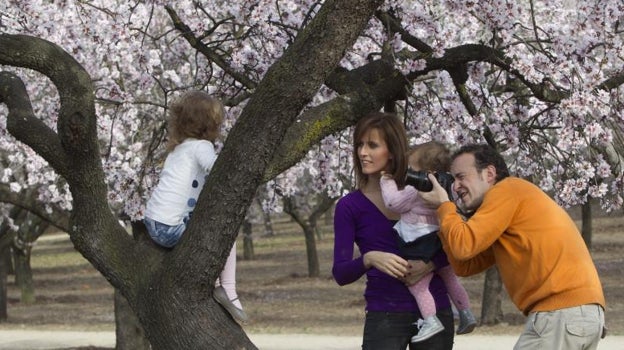 Una familia se hace fotos entre los almendros de la Quinta de los Molinos (Madrid)