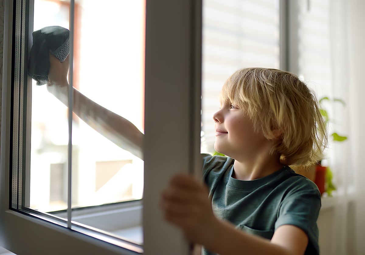 Este docente considera que las tareas domésticas constituyen una asignatura pendiente en las familias y escuelas