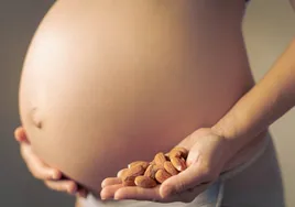 Una baja ingesta de fibra durante el embarazo puede retrasar el desarrollo cerebral de los bebés