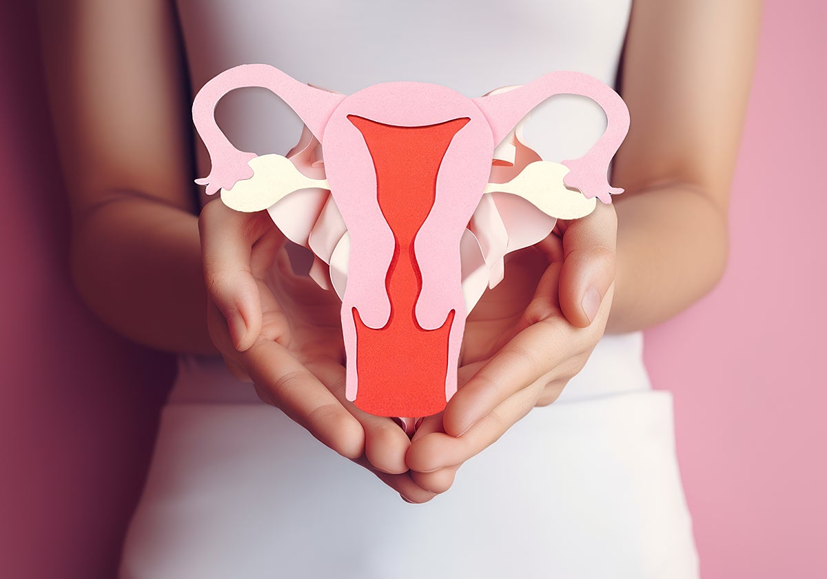 Los síntomas de la menopausia pueden tener lugar alrededor de siete años antes de que se declare y durar hasta unos cinco años después