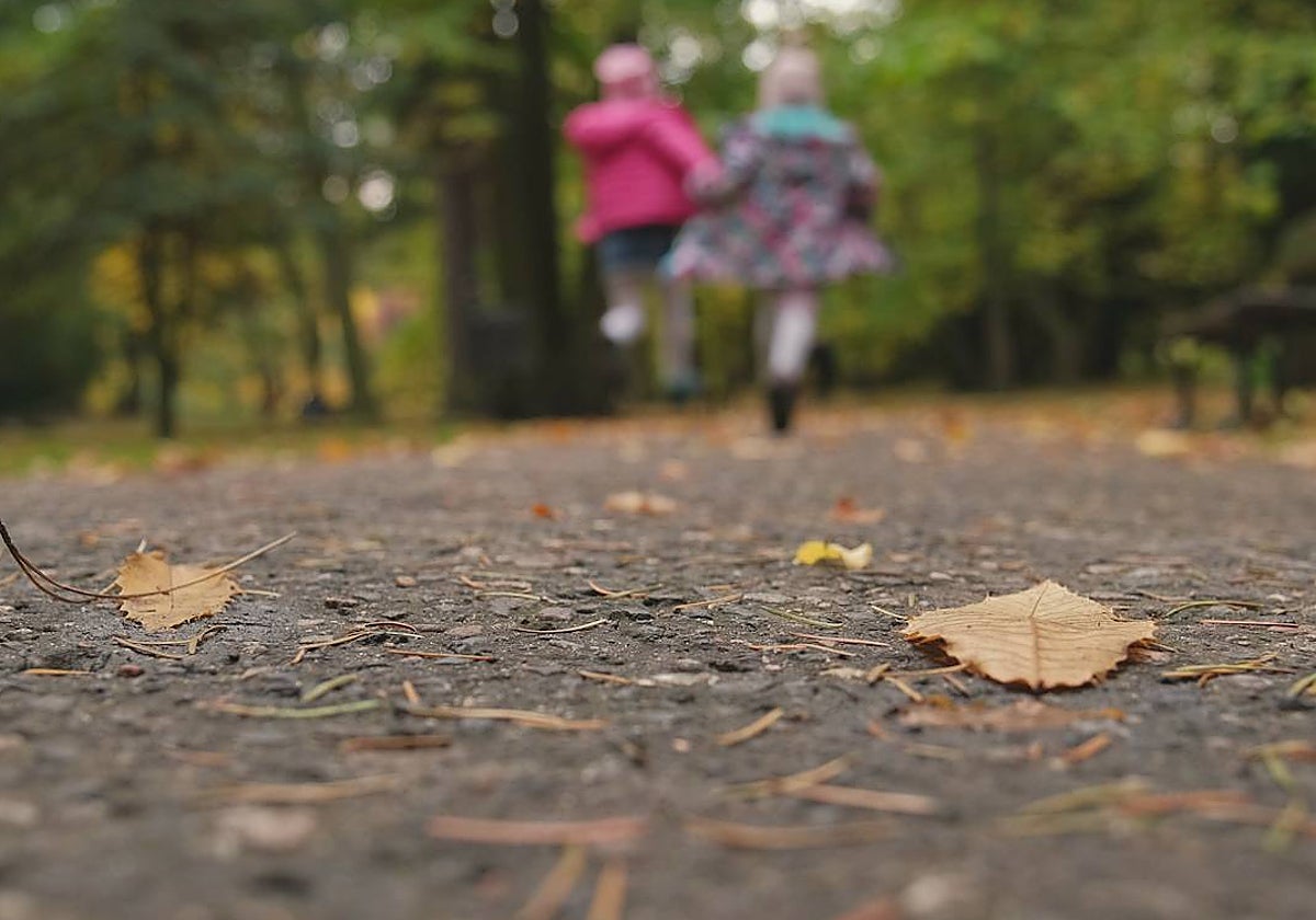Los paseos largos son un ejemplo de actividad física ligera
