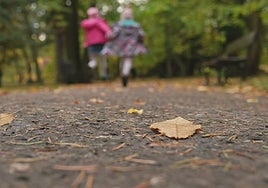 Esta podría ser la clave para revertir la obesidad infantil ligada al sedentarismo