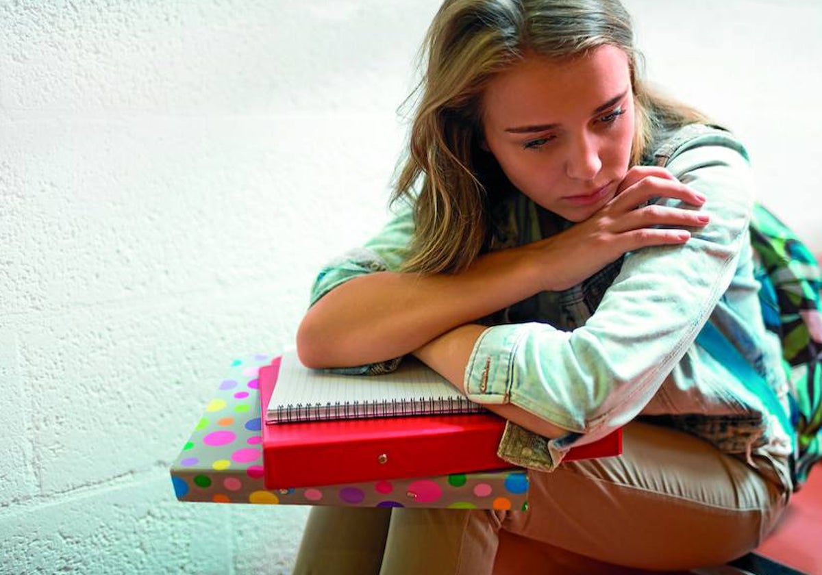 Siempre hay que fomentar en los estudiantes el afán de superación, también en el entorno familiar