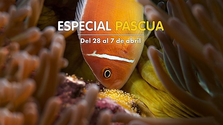 Palma Aquarium de Mallorca cuenta con un programa especial esta Semana Santa: 'Huevos marinos'