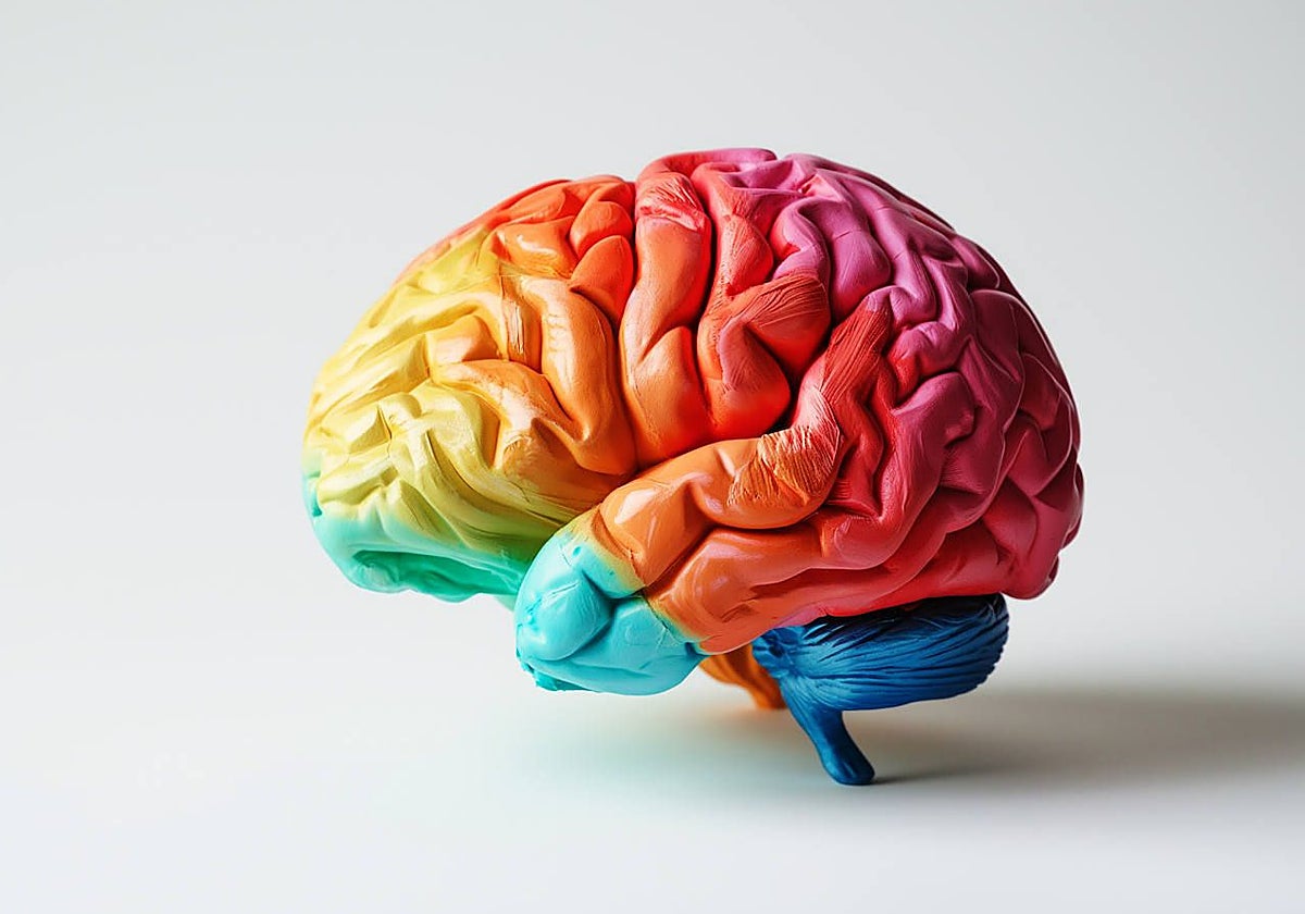 La prevalencia del TDAH en los chicos es de 2 a 2,5 veces mayor que en las chicas