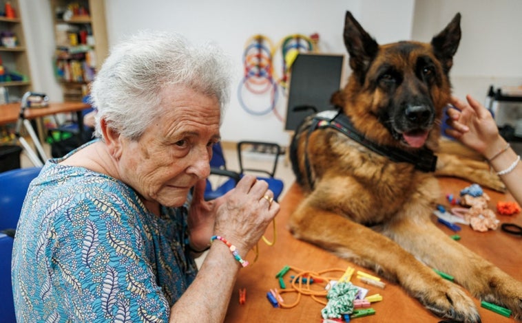 Imagen principal - lLos perros de terapia de José García Granados (Maeveniall), en la residencia de Amavir Ciudad Lineal