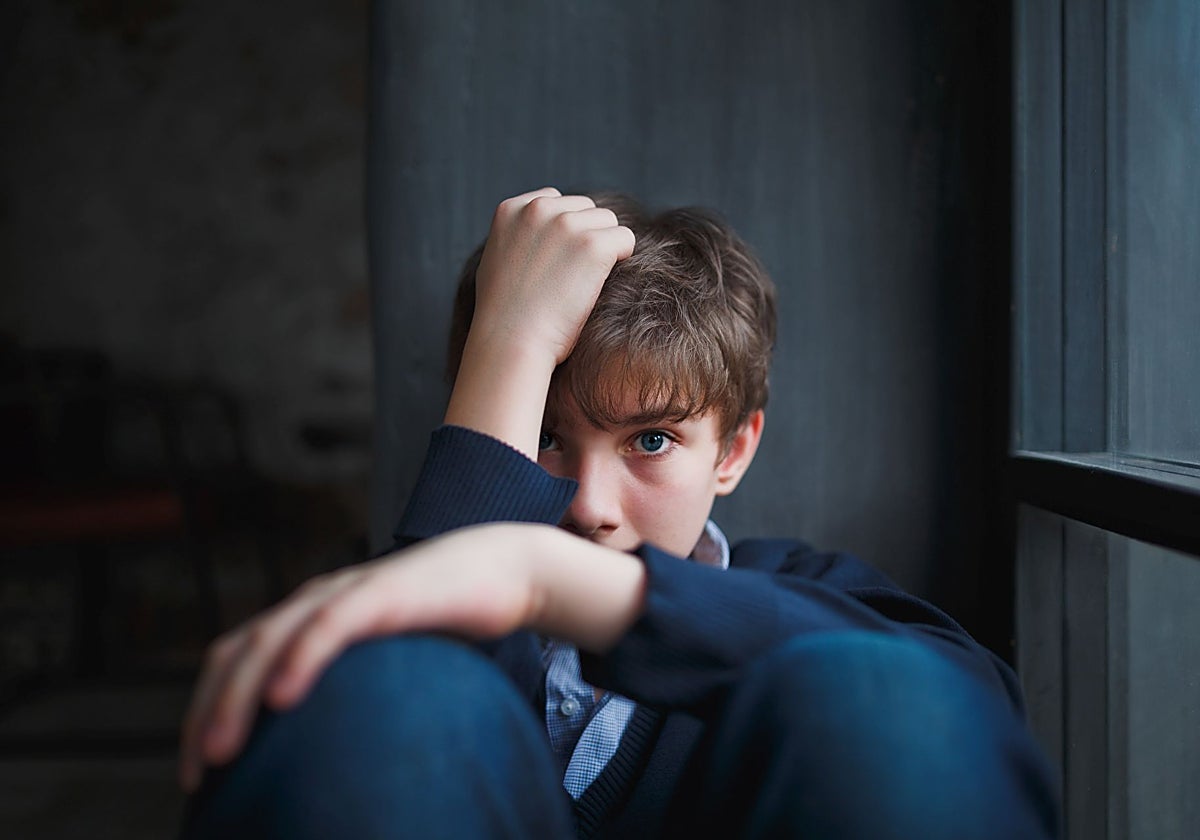 Los adolescentes demandan más apoyo social y emocional por parte de sus padres