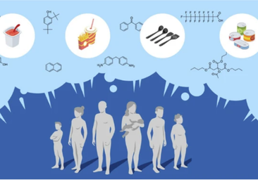 Un estudio identifica más de 3.000 sustancias químicas en contacto con alimentos