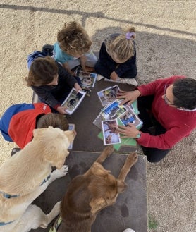 Imagen secundaria 2 - Momentos diferentes de las IAA en la Fundació S'HORT VELL, tanto con perros como con ponis