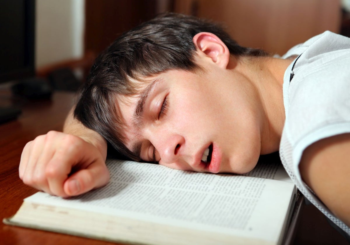 Bostezos, falta de concentración... Las claves de una enfermera para mejorar el sueño y las notas de tu hijo
