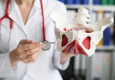Suelo pélvico: «Esperar a los síntomas para cuidarlo es como empezar a cepillarse los dientes cuando ya hay caries»
