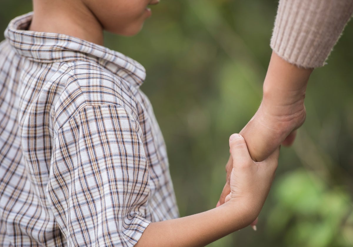 Día de las Familias: los vínculos afectivos son la base del bienestar infantil