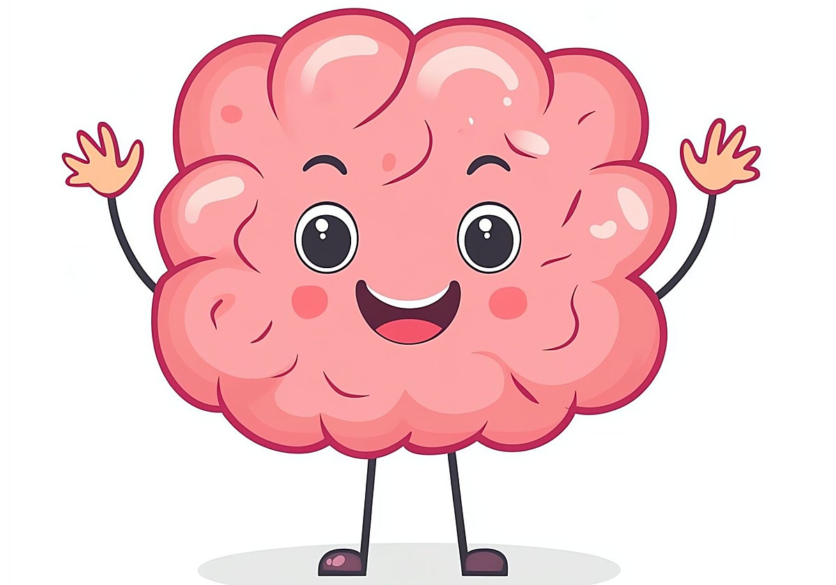 Cómo aprovechar las &#039;ventanas de oportunidad&#039; para el desarrollo cerebral de tu hijo