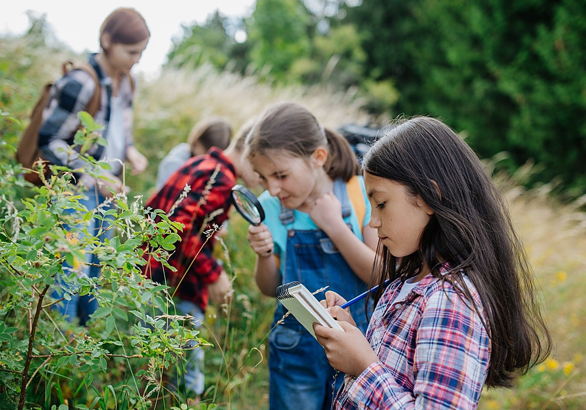 Cada vez más padres buscan metodologías que descubran el talento de sus hijos
