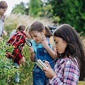 Cada vez más padres buscan metodologías que descubran el talento de sus hijos