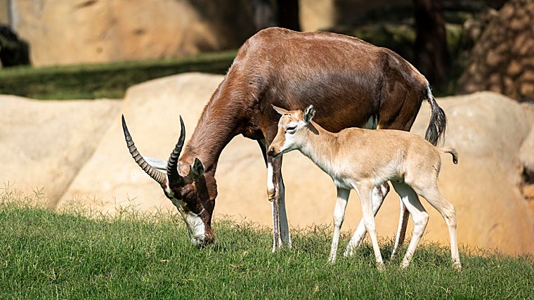 Planes para hacer con tus hijos aunque el calor apriete