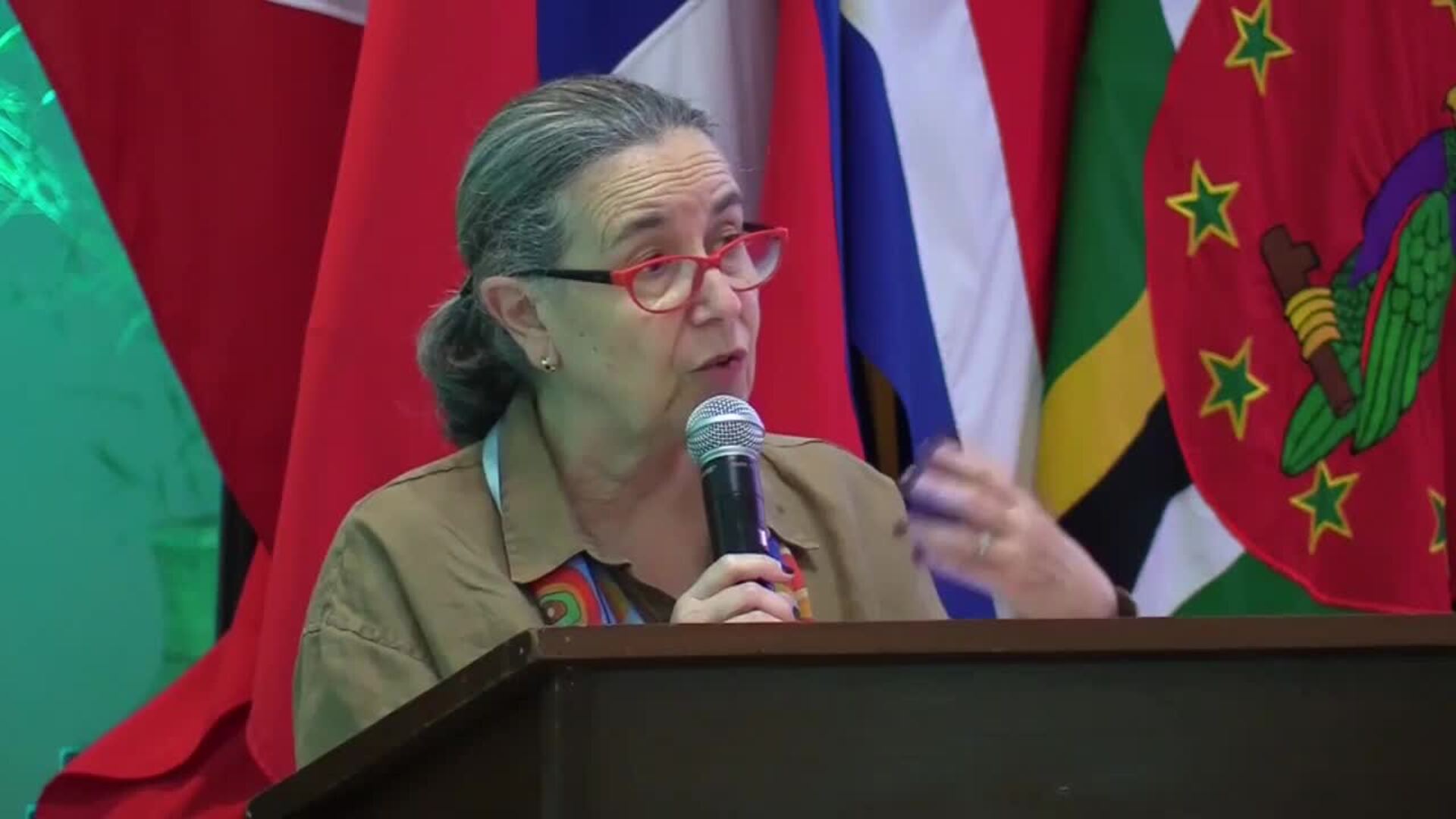 Primera infancia, salud mental y protección de niñez, centran reunión de organismo de OEA