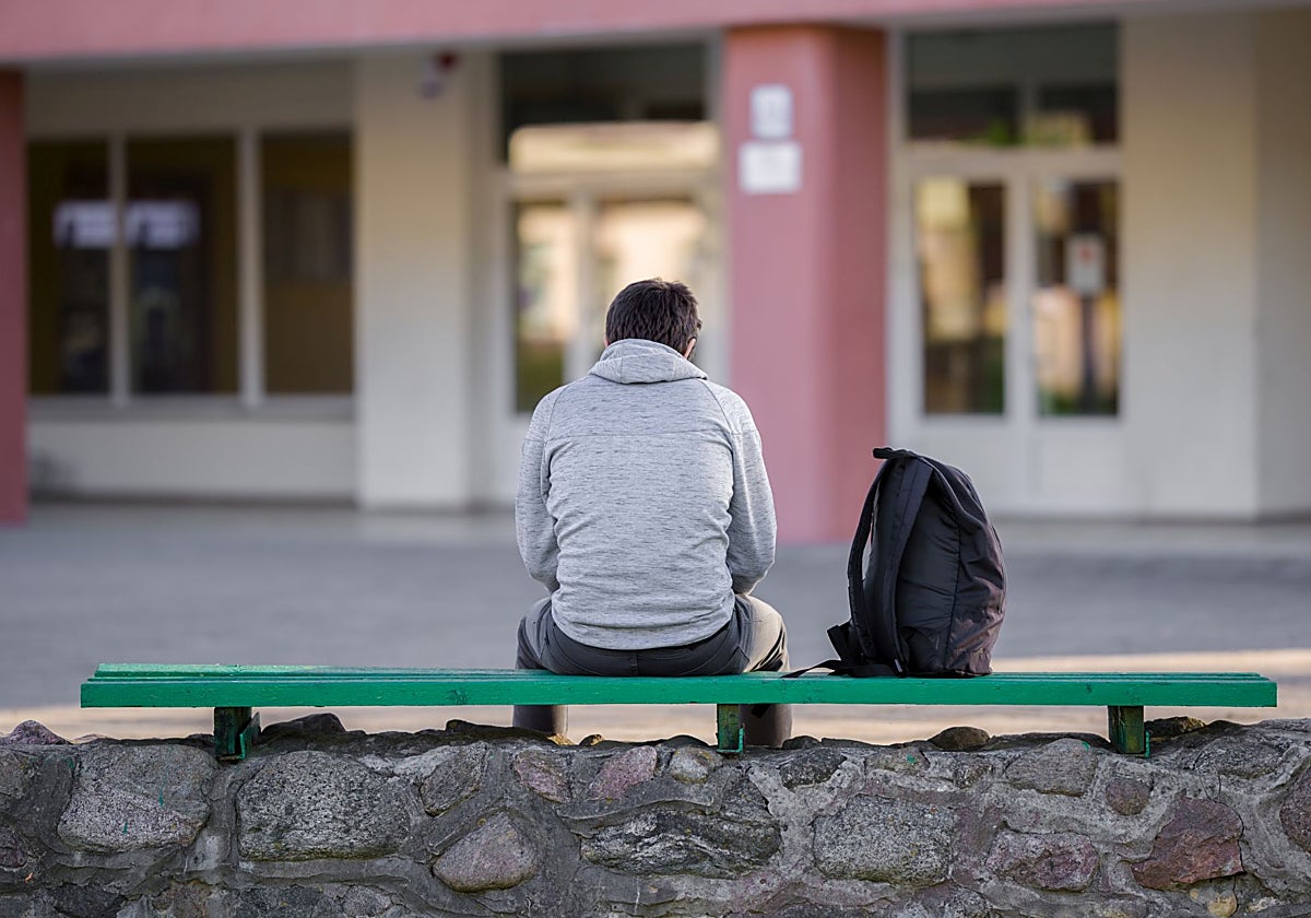 Lara Ferreiro, psicóloga: «La soledad no deseada de un estudiante activa las mismas áreas en el cerebro que el dolor físico»