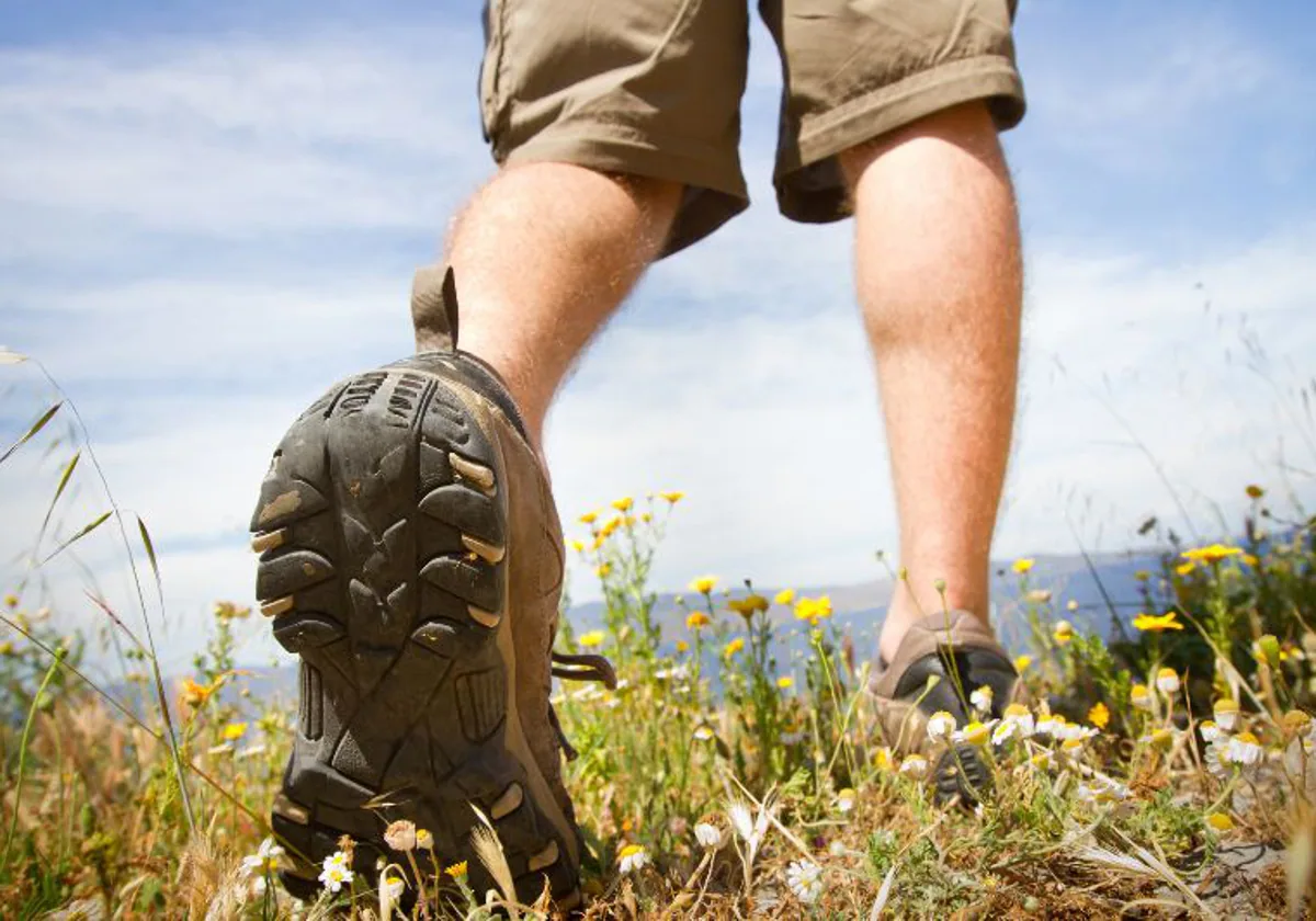 Zapatillas Trail Running - Hombre - Calzado de Montaña