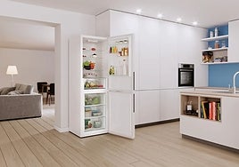 Renueva tu antiguo frigorífico con el Candy Fresco ¡ahora con un descuento de 100 euros!